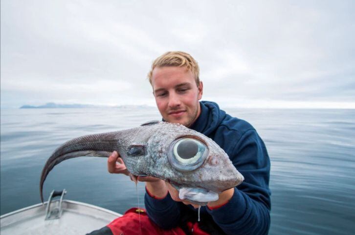 Pescan un pez de aspecto prehistórico en Noruega. (Foto: Bournemouth News)